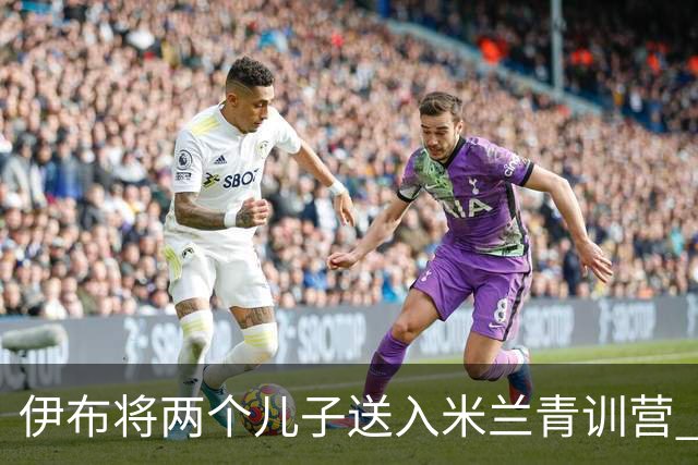 伊布将两个儿子送入米兰青训营 一个U17一个U15